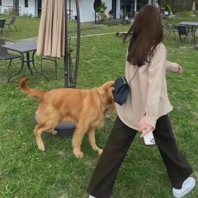 光海,成为王的男人